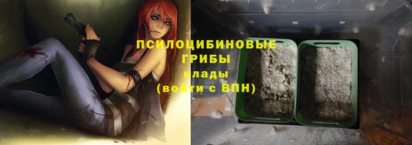 амф Арсеньев