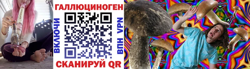 где найти   Пыть-Ях  Галлюциногенные грибы Magic Shrooms 